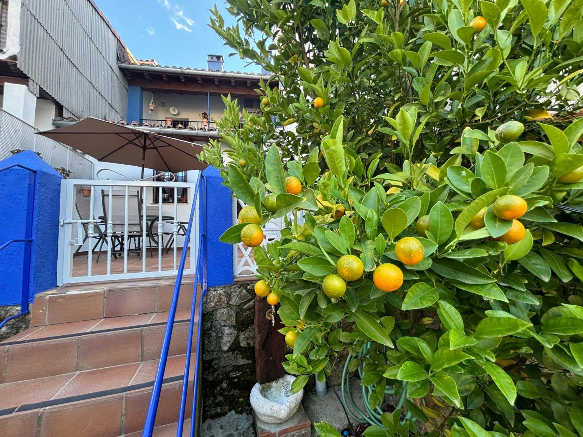 Alborada Apartamentos Rurales Hervás Dış mekan fotoğraf